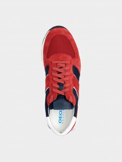 GEOX - Spherica Vseries Shoes