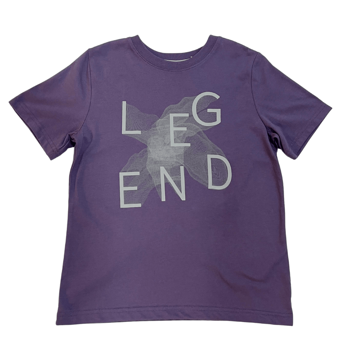 XERSION Boys Tops S / Purple XERSION - Leg End Printed T-Shirt
