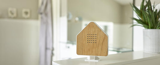 AMBIANO Home Decoration & Accessories AMBIANO - Nature Sound Box