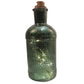 BRANDS & BEYOND Garden Accessories Green Glass Bottle with 10 LED lighting