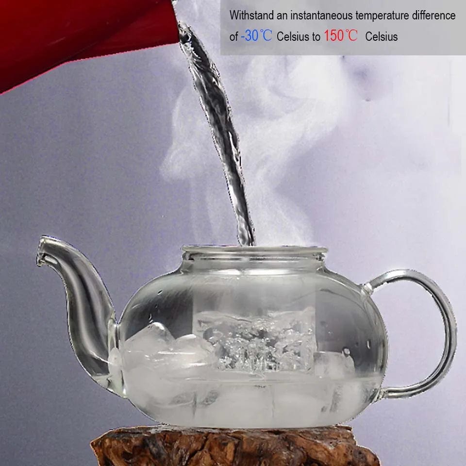 BRANDS & BEYOND Kitchenware 1 L Heat Resistant Glass Teapot