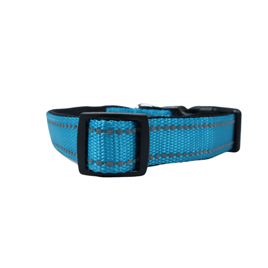 BRANDS & BEYOND Pet Accessories Adjustable dog collar