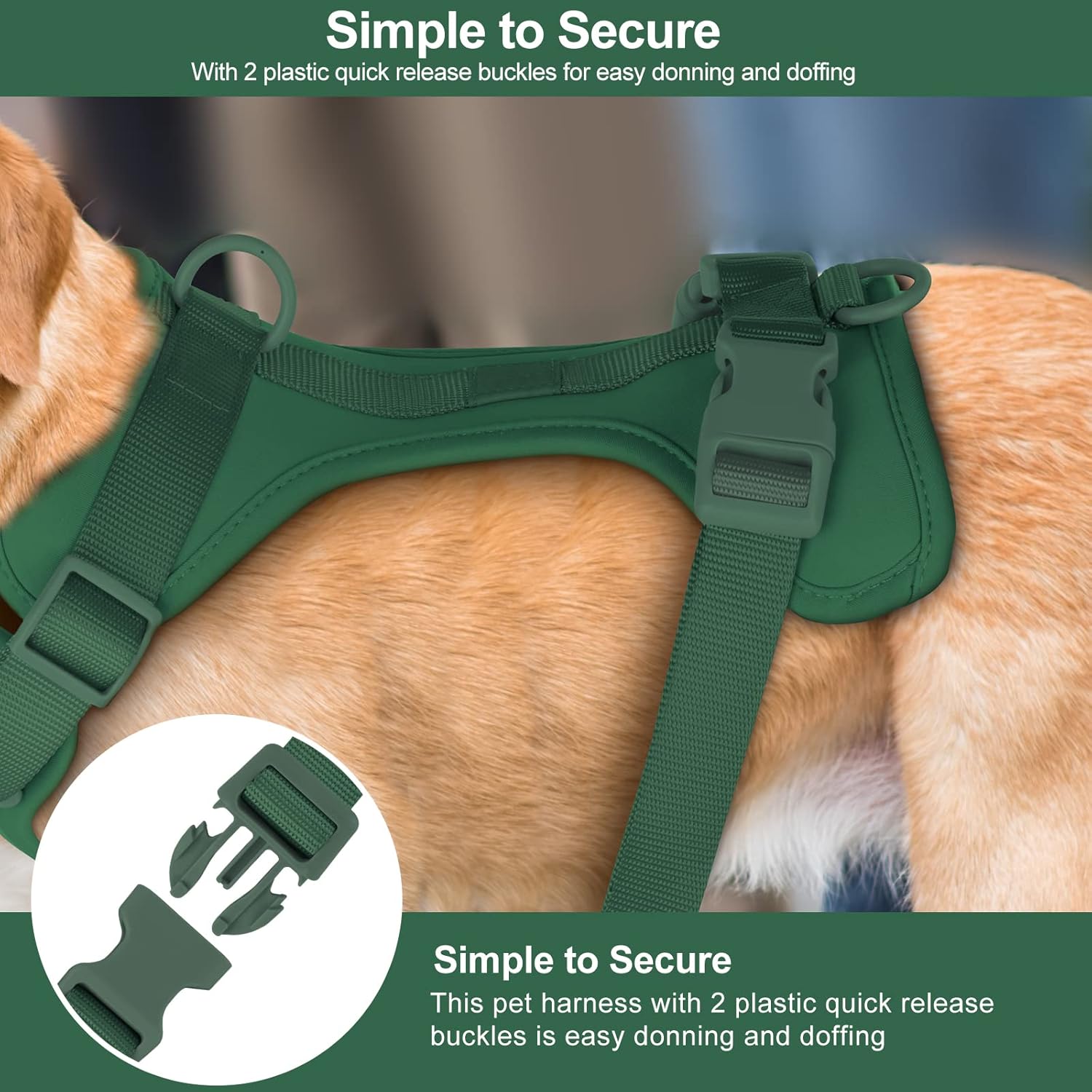 BRANDS & BEYOND Pet Accessories M / Green Adjustable Durable Breathable Mesh Pet Vest