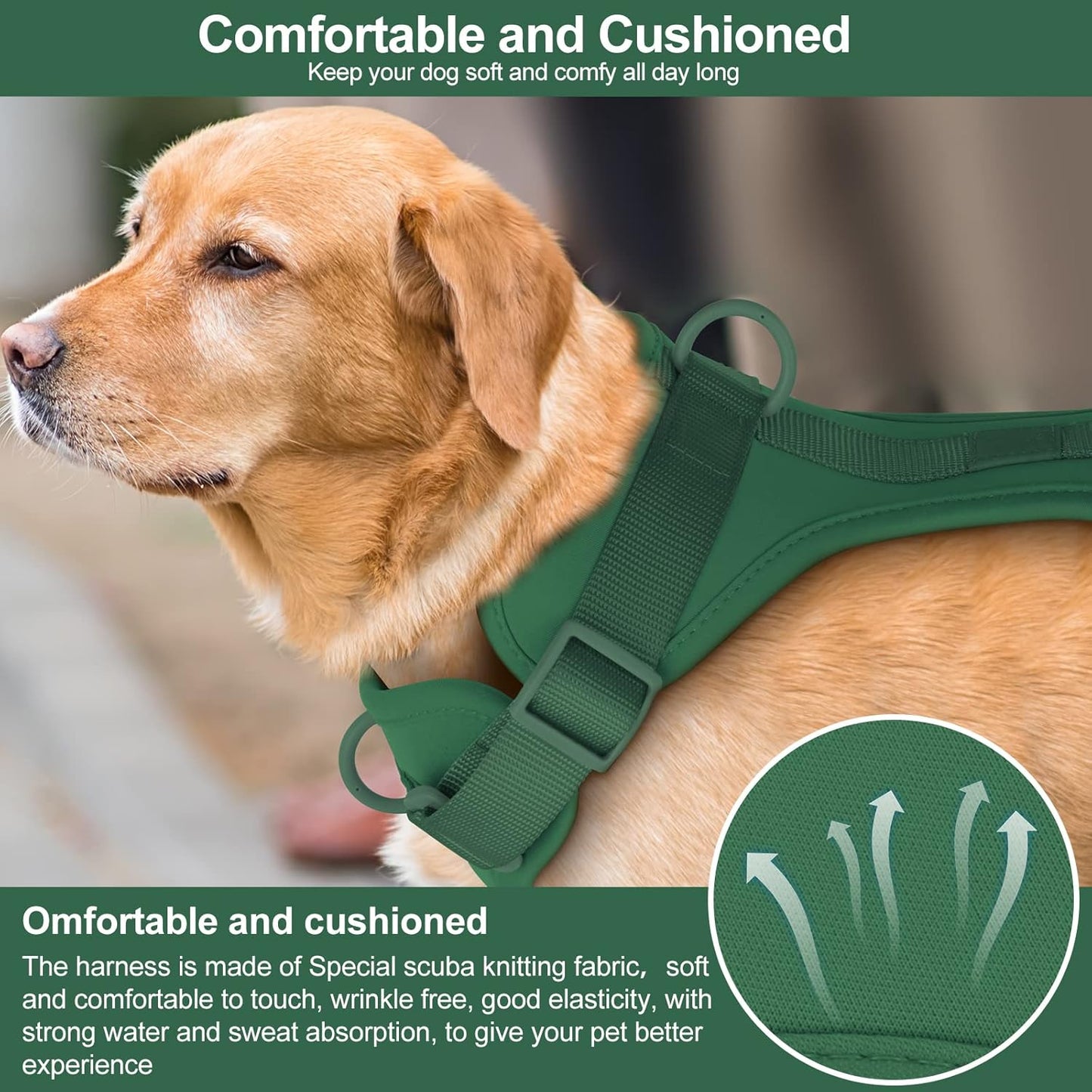 BRANDS & BEYOND Pet Accessories M / Green Adjustable Durable Breathable Mesh Pet Vest