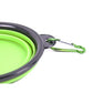BRANDS & BEYOND Pet Accessories Green Collapsible Dog Bowl for Cats Dogs, Portable Pet