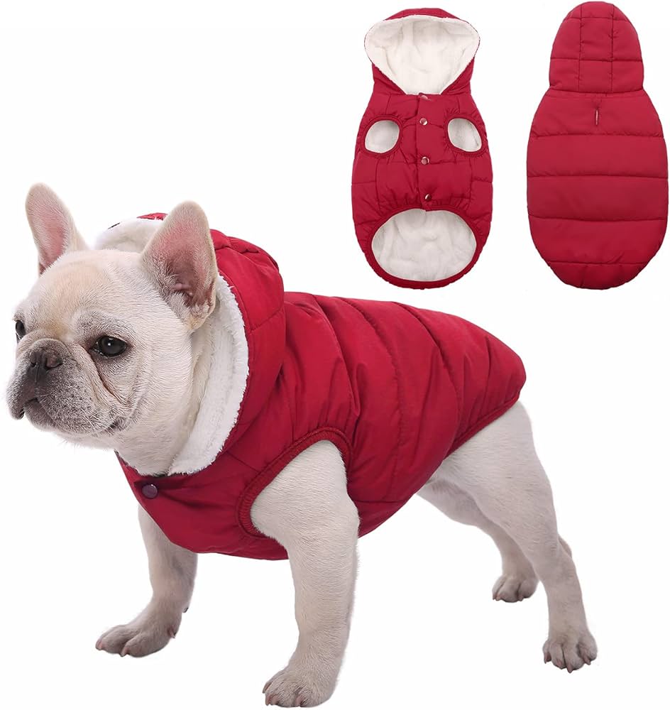 BRANDS & BEYOND Pet Accessories S / Red Fleece lined dog coat