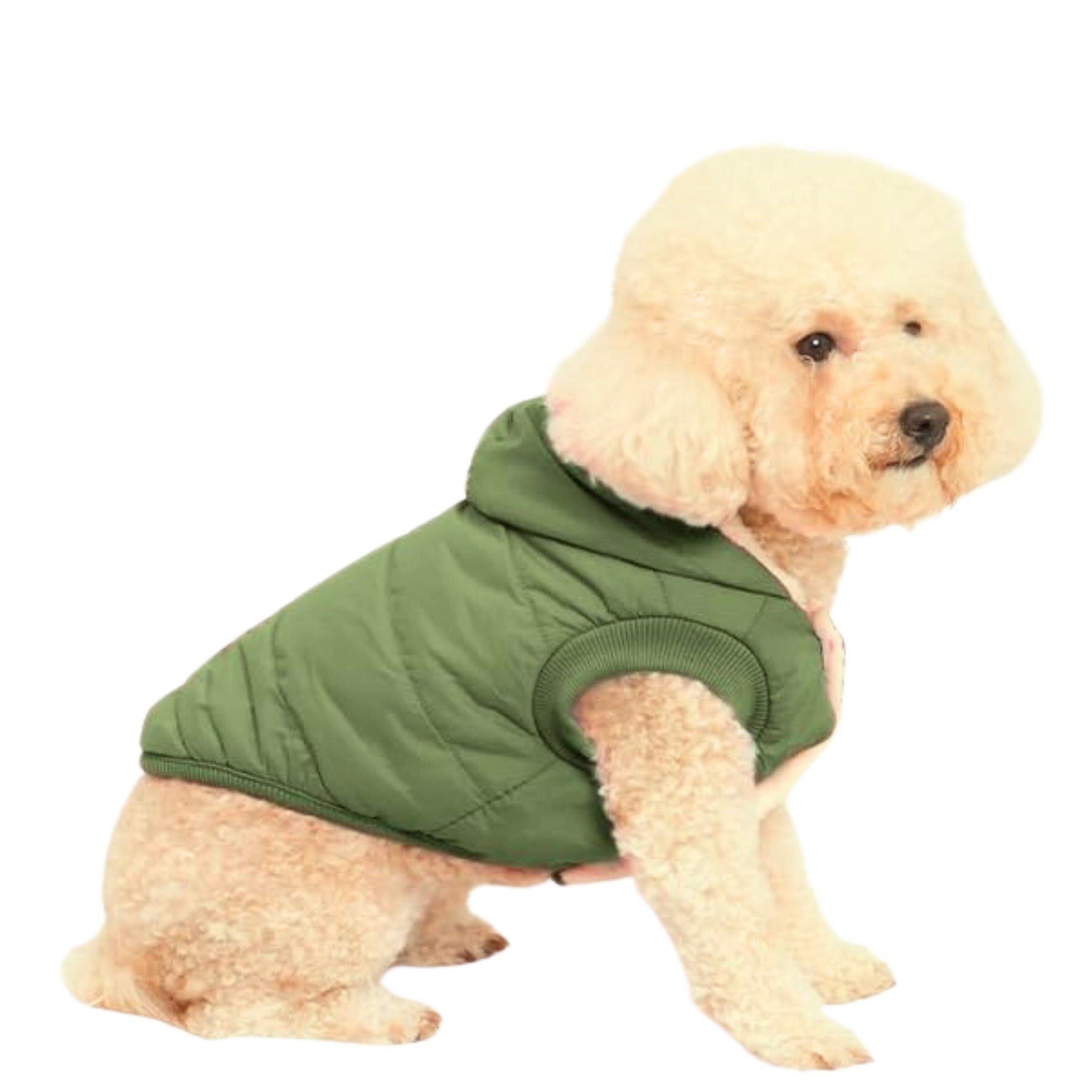 BRANDS & BEYOND Pet Accessories S / Green Fleece lined dog coat