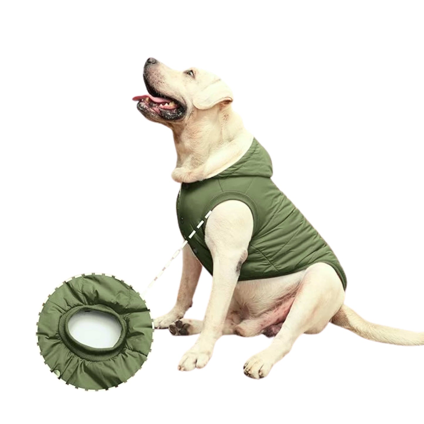 BRANDS & BEYOND Pet Accessories Green / 2XL Fleece Lined dog jacket