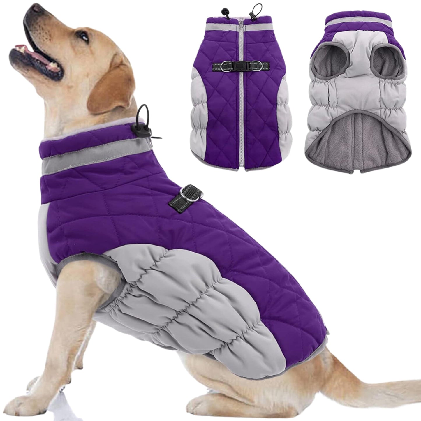 BRANDS & BEYOND Pet Accessories L / Multi-Color Lelepet Warm Dog Winter Coat