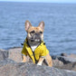 BRANDS & BEYOND Pet Accessories L / Multi-Color Zip Up Dog hooded Raincoat with Buttons