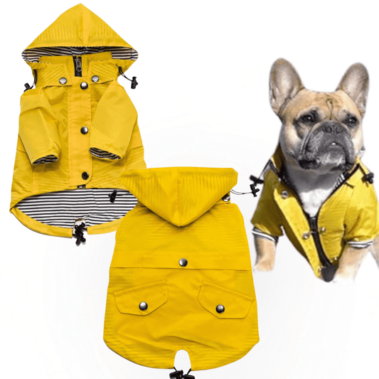 BRANDS & BEYOND Pet Accessories L / Multi-Color Zip Up Dog hooded Raincoat with Buttons