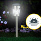 CASALUX Garden Accessories CASALUX - Solar LED Garden Light with Motion Detector