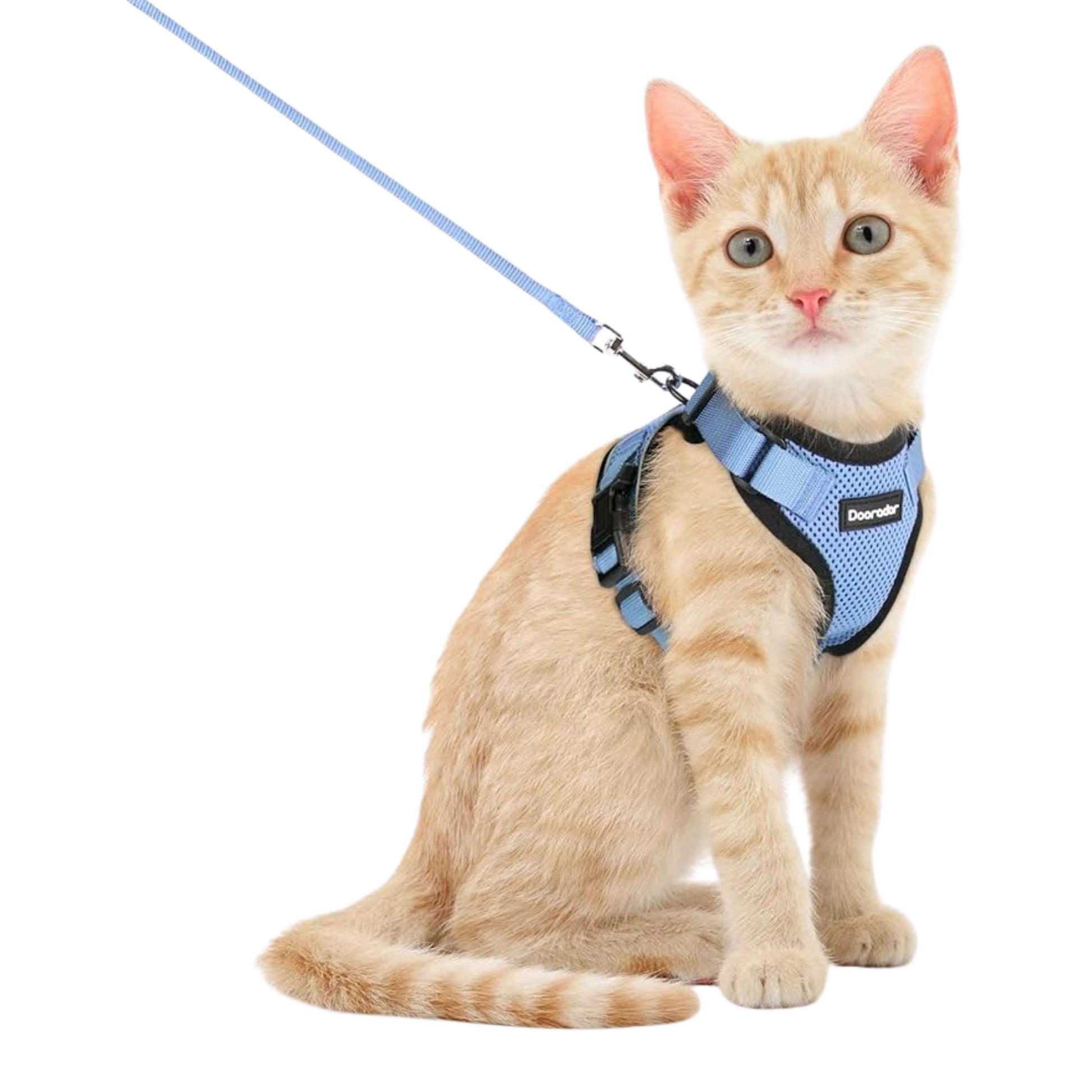 DOORADAR Pet Accessories S / Blue DOORADAR - Cat Harness and Leash Set