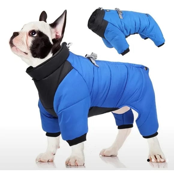 DUOMM Pet Accessories M / Multi-Color DUOMM - Dog puffer jacket