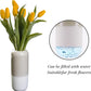 HOME CREATION Home Decoration & Accessories HOME CREATION  - Flower Vase for Modern Home Décor