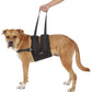 LABRA Pet Accessories M / Black LABRA - Dog Support Sling with Chest Strap