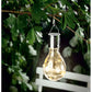 LIVARNO Garden Accessories LIVARNO - Solar decorative LED light