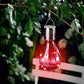 LIVARNO Garden Accessories LIVARNO - Solar decorative LED light