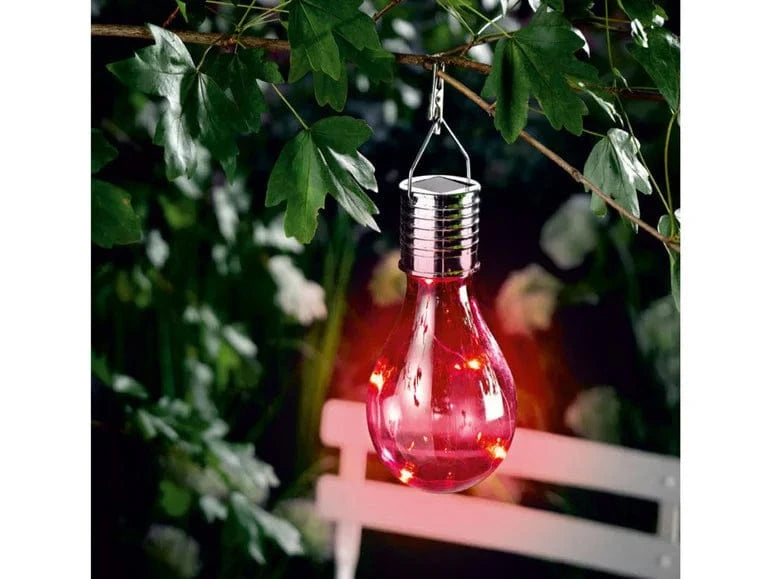 LIVARNO Garden Accessories LIVARNO - Solar decorative LED light