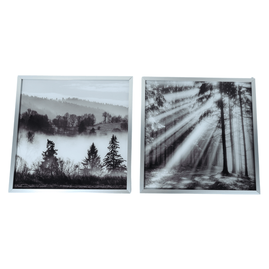 LIVING ART Home Decoration & Accessories Silver LIVING ART - Metal frame pictures 2 pieces