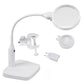 MAGINON Office Supplies White MAGINON - LED Table Magnifier Tl-120