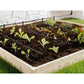 PARKSIDE Garden Accessories PARKSIDE - Drip Irrigation Set