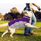 Lelepet Warm Dog Winter Coat