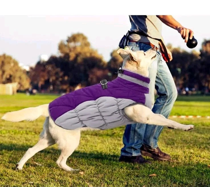 Lelepet Warm Dog Winter Coat