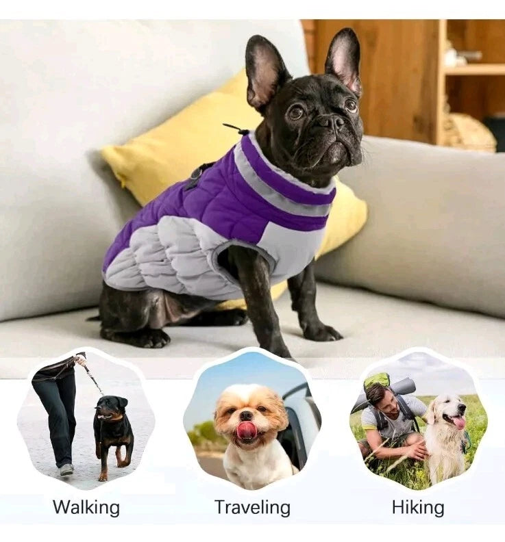 Lelepet Warm Dog Winter Coat