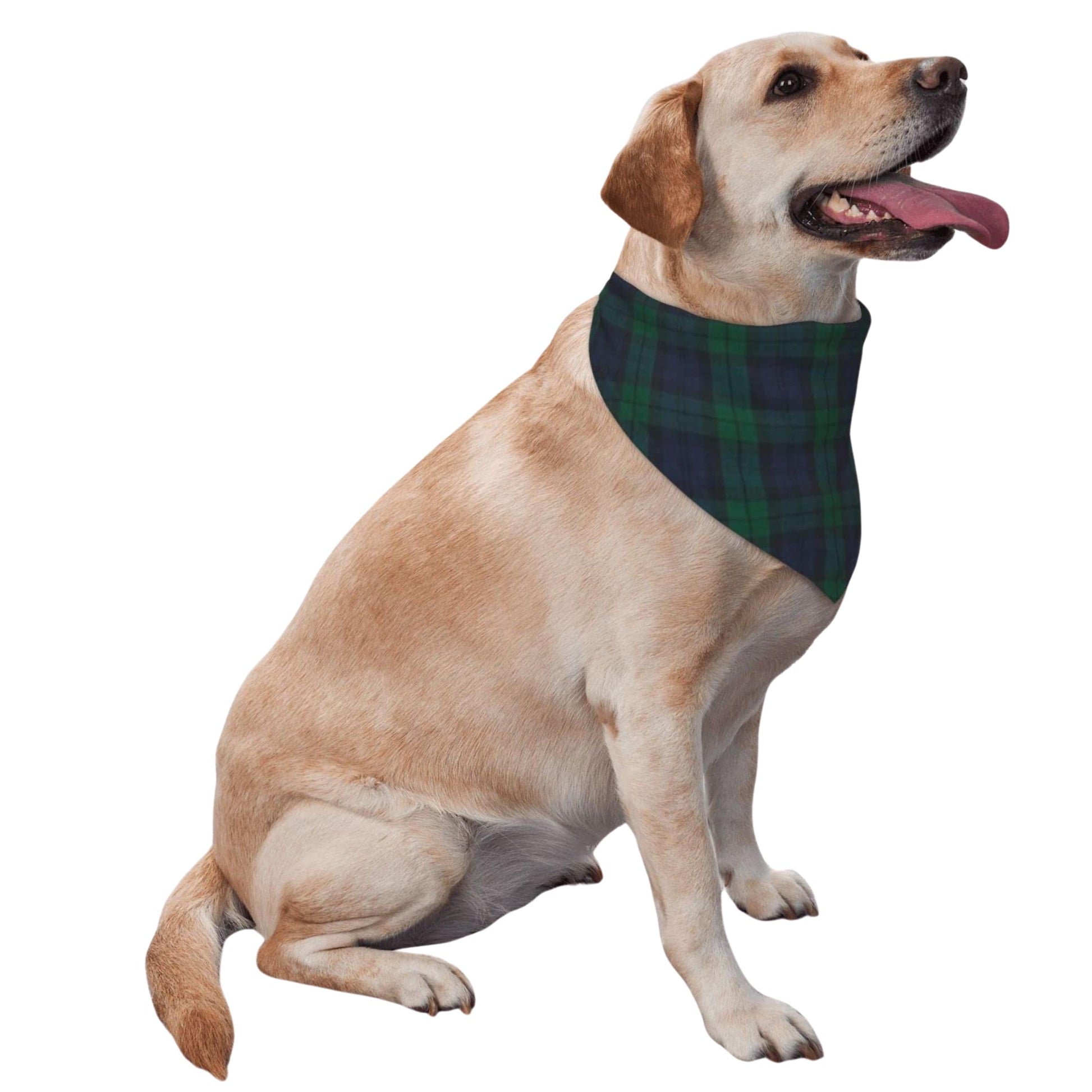 WONDERSHOP Pet Accessories One-Size / Multi-Color WONDERSHOP - Pet plaid bandana