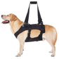 YRENOER Pet Accessories XL / Black YRENOER - Dog Lift Harness